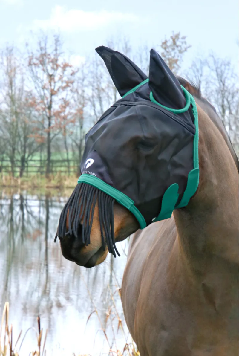 Hy Equestrian Mesh Half Mask with Ears and Fringe - Black/Teal